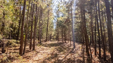 Beautiful home on 70 acres100