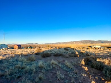 IMG_1979_jpg