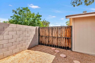 3506 W Detroit St, Chandler, AZ 85226 - photo 7