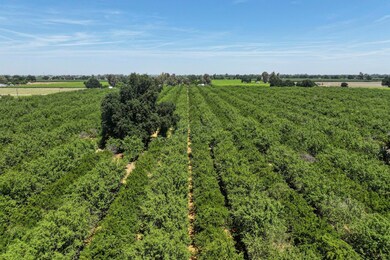 2025-05-12-Schuil-Farms-for-Sale-Lemoore