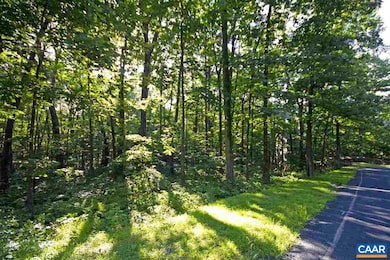 25 Stony Cove Ln, Roseland, VA 22967 - photo 3