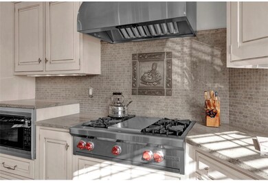 Wolf appliances