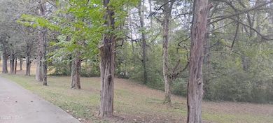 920 Wesleyan Dr, Macon, GA 31210 - photo 5