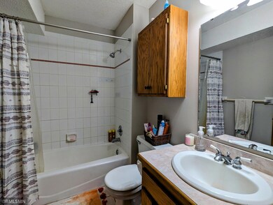 11113 69th Place N, Maple Grove, MN 55369 - photo 5