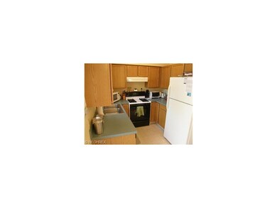 Plenty of cabinets and counter space.