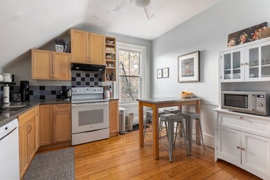 249 Kent St unit Rear, Brookline, MA 02446 - photo 4