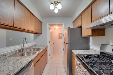 365 Grissom Ln unit 365, Hoffman Estates, IL 60169 - photo 7