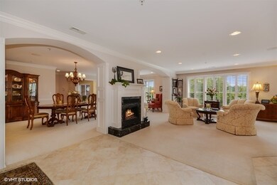 206 N Water St unit 303, Batavia, IL 60510 - photo 4