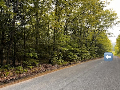Pond Road view
