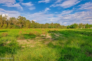 2 515 Porter Swamp Rd, Cerro Gordo, NC 28430 - photo 6