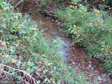 0 Jobbers Mountain Rd unit VARP107410, Sperryville, VA 22740 - photo 6