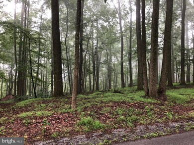 LOT 37 Adelaide Cir, Kabletown, WV 25425 - photo 3