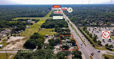 10022 Carr Rd, Riverview, FL 33569 - photo 3