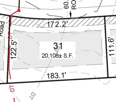 Lot 31