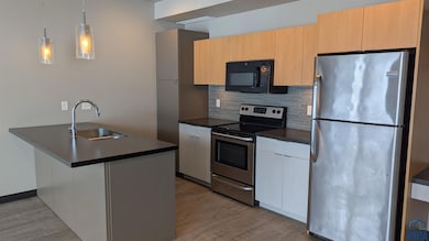 720 12th St NE unit 10, Sioux Center, IA 51250 - photo 3