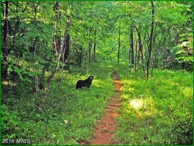 0 Old Foxville Rd unit 1002908562, Warrenton, VA 20186 - photo 7