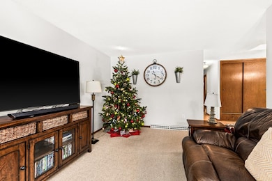 110 Grove St, Duluth, MN 55810 - photo 5