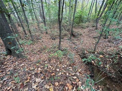 00 Villa Rica Highway 61, Dallas, GA 30157 - photo 4