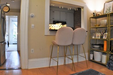 79 Worcester St unit 2, Boston, MA 02118 - photo 7