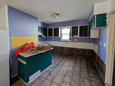 206 S 9th St, Montevideo, MN 56265 - photo 5