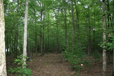 0 Baker Davis Rd unit 428510, Lincolnton, GA 30817 - photo 5