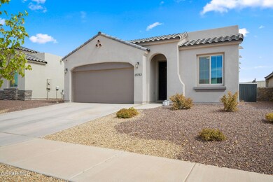 13733 Olney Ave, Horizon City, TX 79928 - photo 3