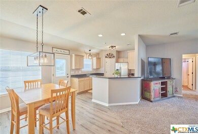 4194 Gun Club Rd, Temple, TX 76501 - photo 6