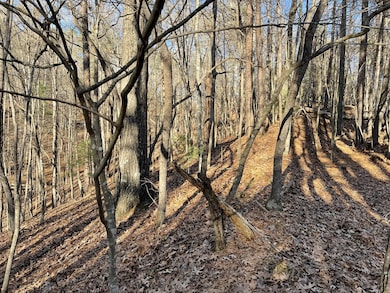 2458 Montage Dr, Ellijay, GA 30540 - photo 2