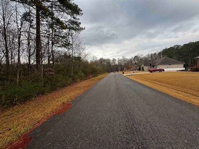 0 Clarendon Rd unit 526318, Good Hope, AL 35057 - photo 3