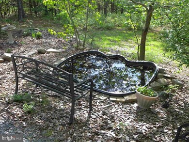 38 Strudel Ct, Basye, VA 22810 - photo 6