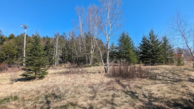 PXL_20240425_181443512