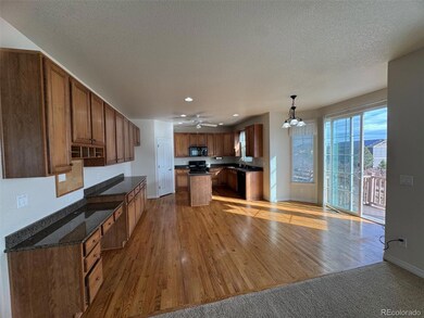 3218 Arroyo Verde Way, Castle Rock, CO 80108 - photo 5