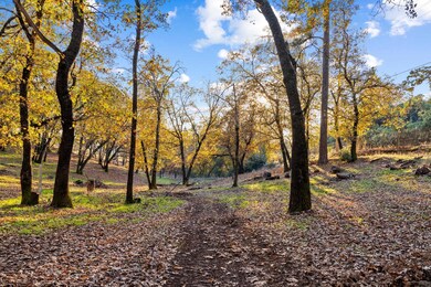 2000 Bear Rock Rd, Placerville, CA 95667 - photo 6