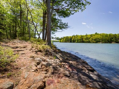 Spectacular 4 acre waterfront common...