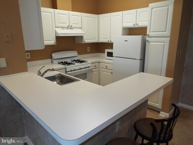 5005 Triplett Rd, Owings Mills, MD 21117 - photo 3