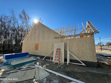 400 Creeks Edge Dr, Pikeville, NC 27863 - photo 3