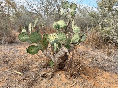 Farm To Market Road 716, Realitos, TX 78376 - photo 4