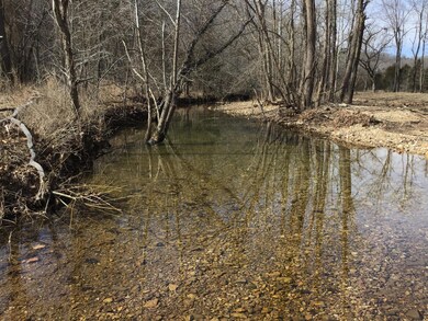 Tbd Cliff Rd, Union Township, MO 65459 - photo 7
