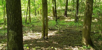 6850 N Range Rd, La Porte, IN 46350 - photo 4