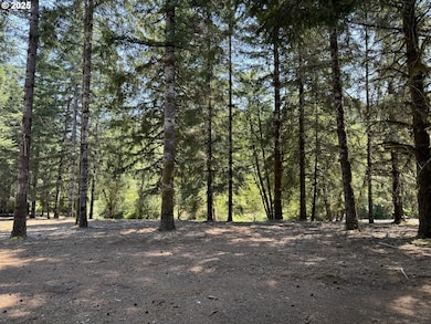 0 Coast Creek Rd, Willamina, OR 97396 - photo 7