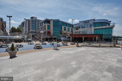 The Haven unit 515, National Harbor, MD 20745 - photo 5