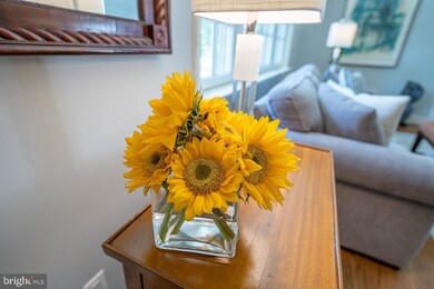 218 Devon Blvd, Devon, PA 19333 - photo 5