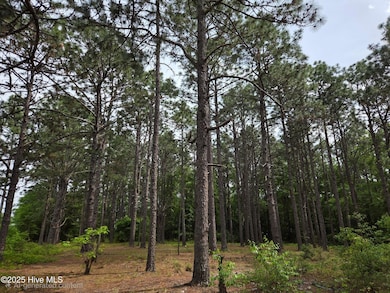 00 Patton St, Hamlet, NC 28345 - photo 2