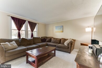 8666 Maple Glen Ct, Springfield, VA 22153 - photo 3