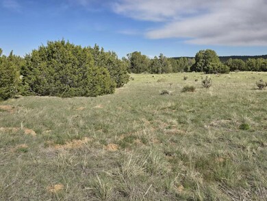 8 Tres Amigos Trail, Walsenburg, CO 81089 - photo 4