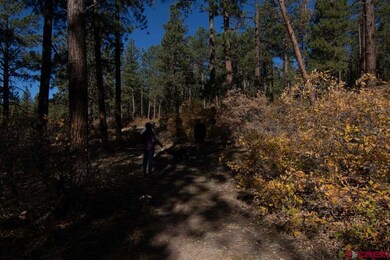 910 Red Canyon Trail, Durango, CO 81301 - photo 7