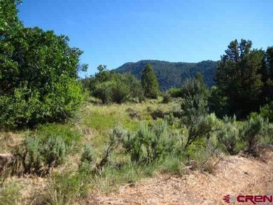 0 Elkridge Ln unit 677122, Durango, CO 81301 - photo 6