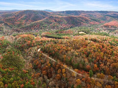 TBD Millers Creek Rd, Max Meadows, VA 24360 - photo 4