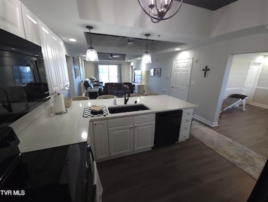 120 Raceday Center Dr unit 604, Bristol, TN 37620 - photo 5