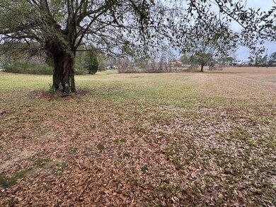 106 Pierce Town Rd, Fulton, MS 38843 - photo 7